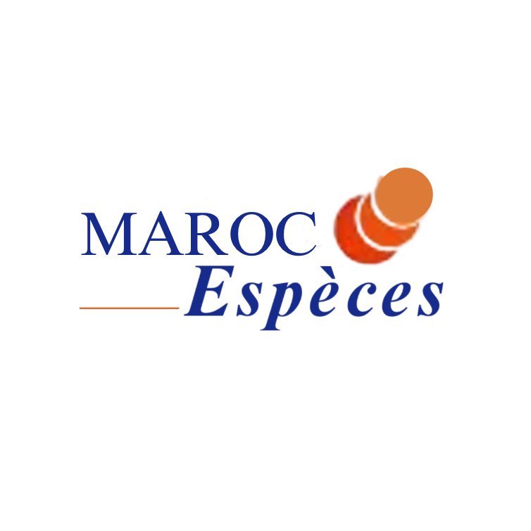 Maroc Espèces — Financial Services